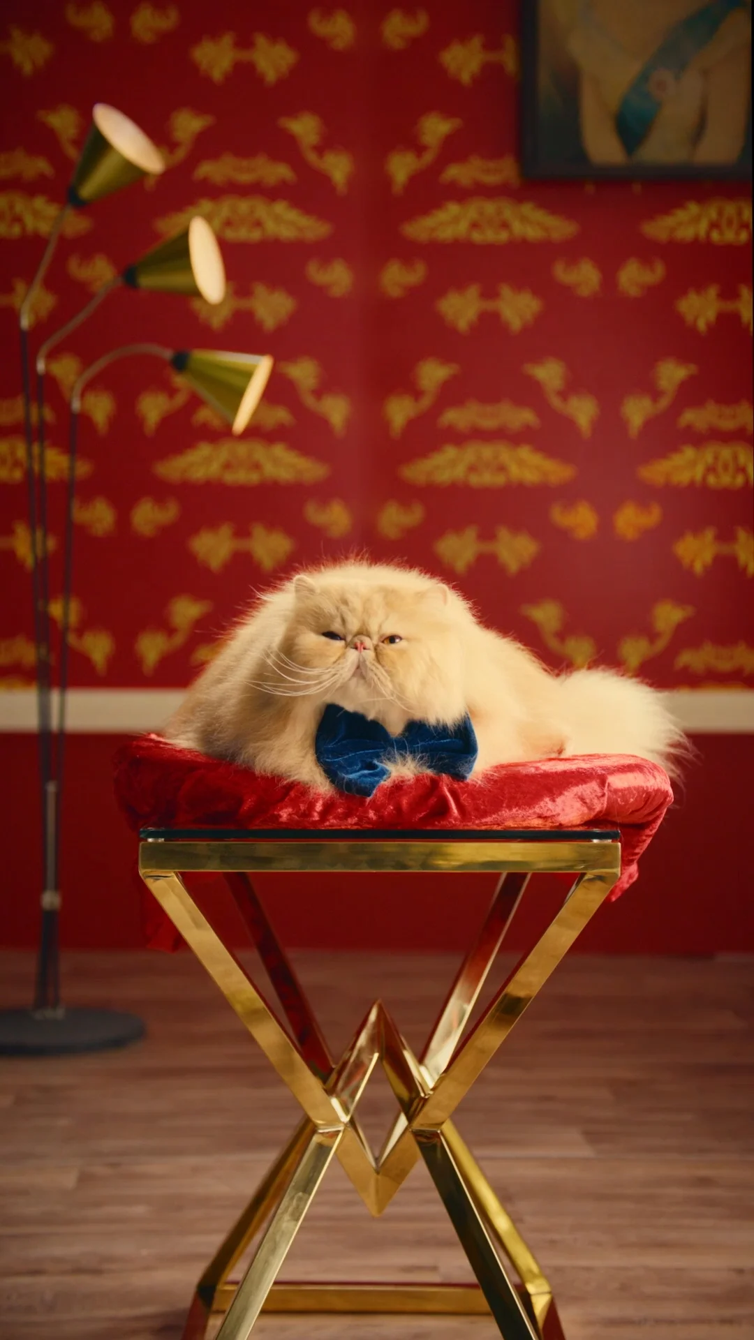 Cat_9.jpg