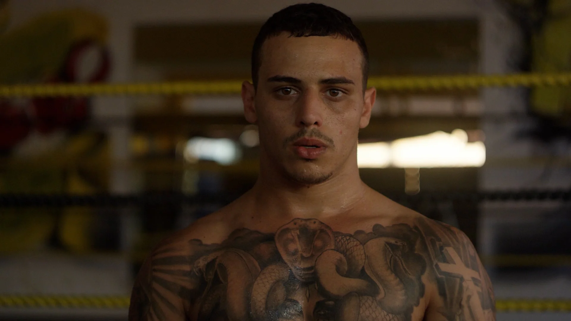 Perth_Boxer.jpg