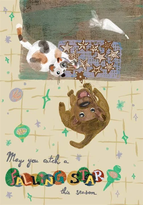 slobodian-lora_catch-falling-star.jpg