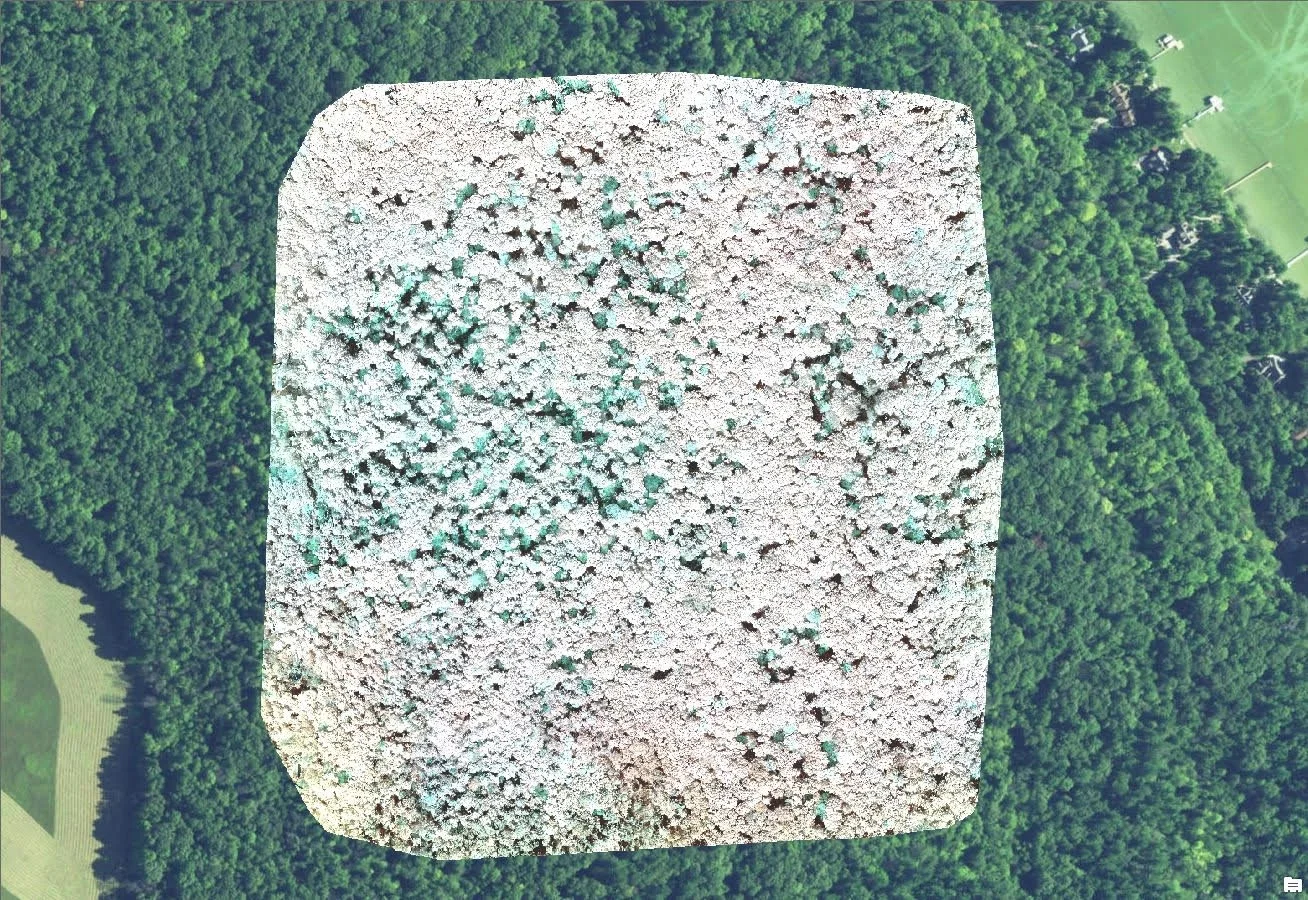 Colonial Point, Michigan Digital Surface Model