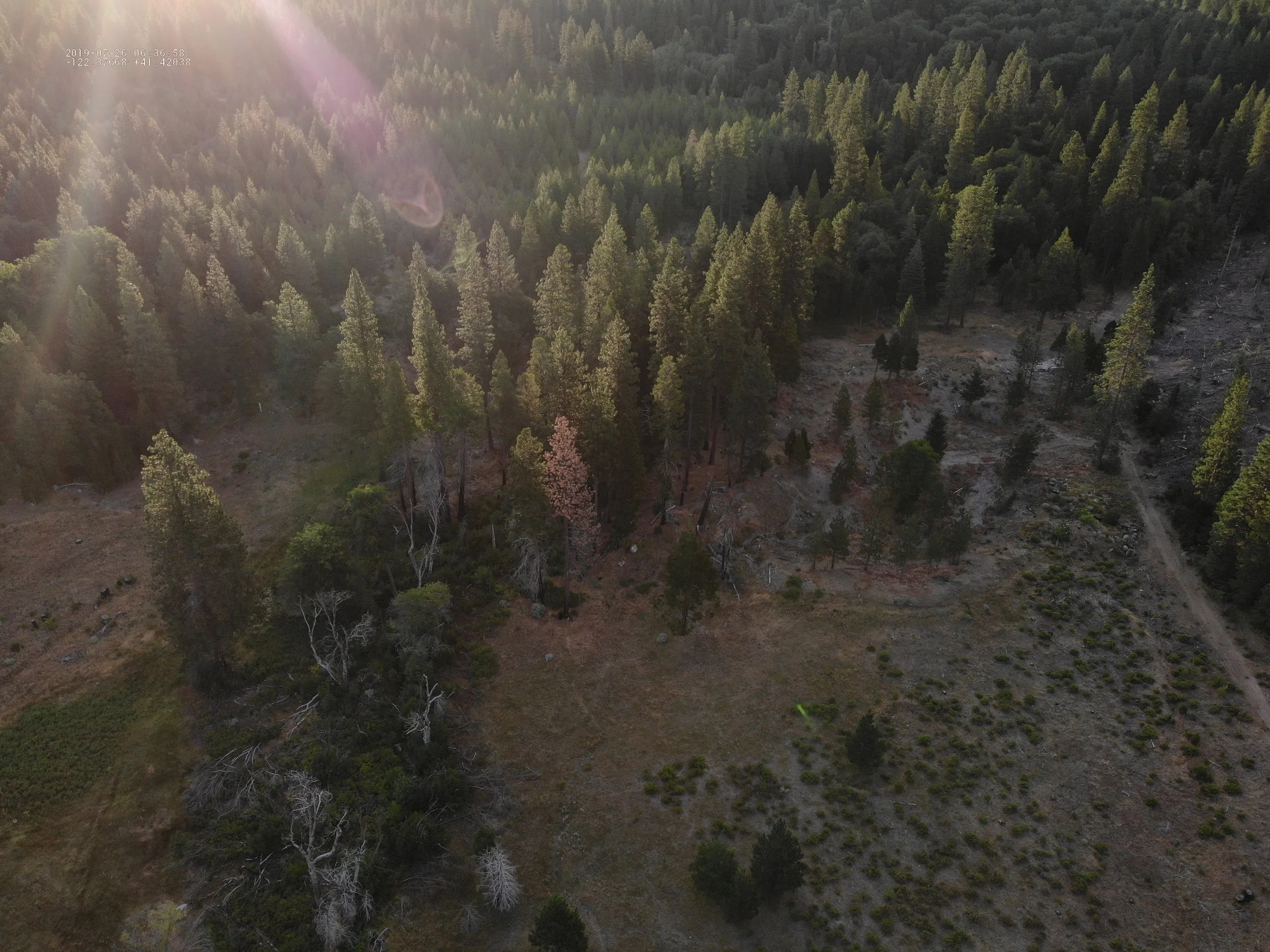 DJI_0389.JPG