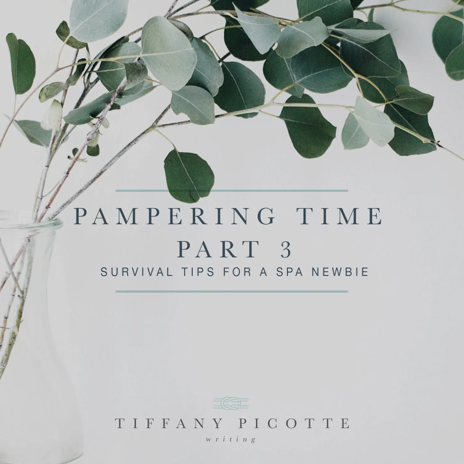 Survival Tips for a Spa Newbie