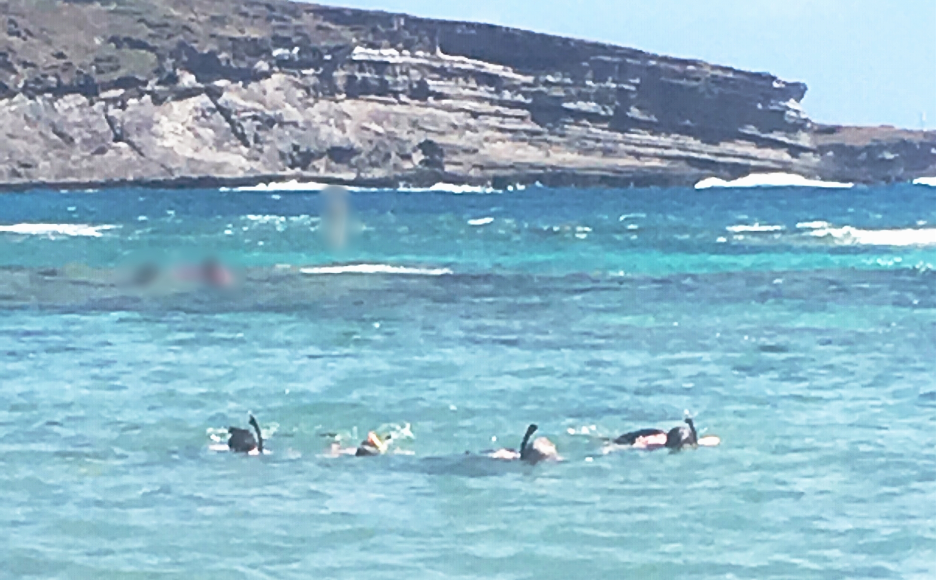 Snorkeling at Hanauma Bay