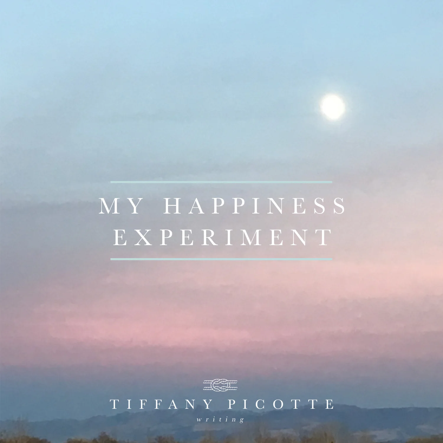My happiness experiment 2.jpg