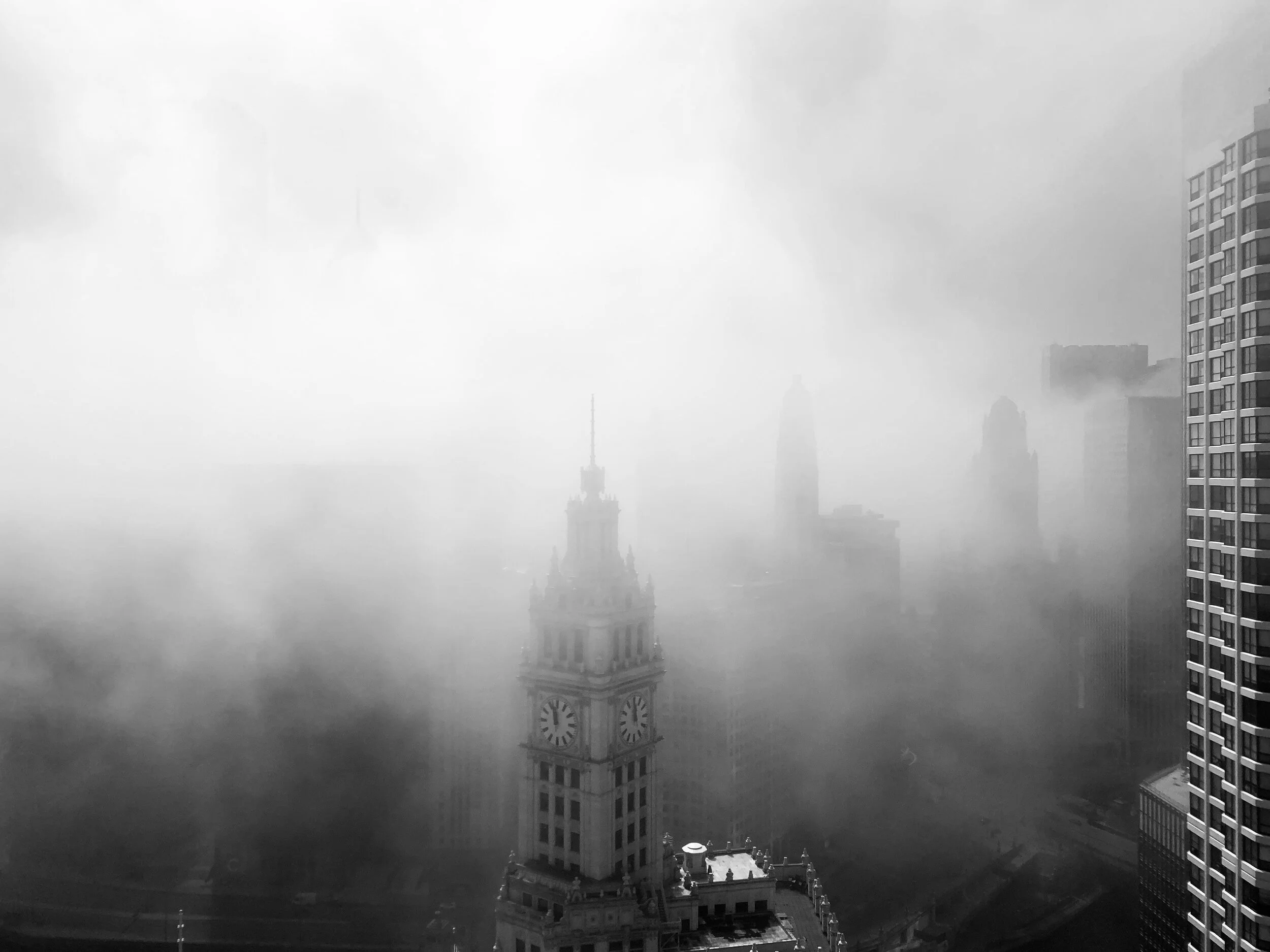 IMG_3512.JPG