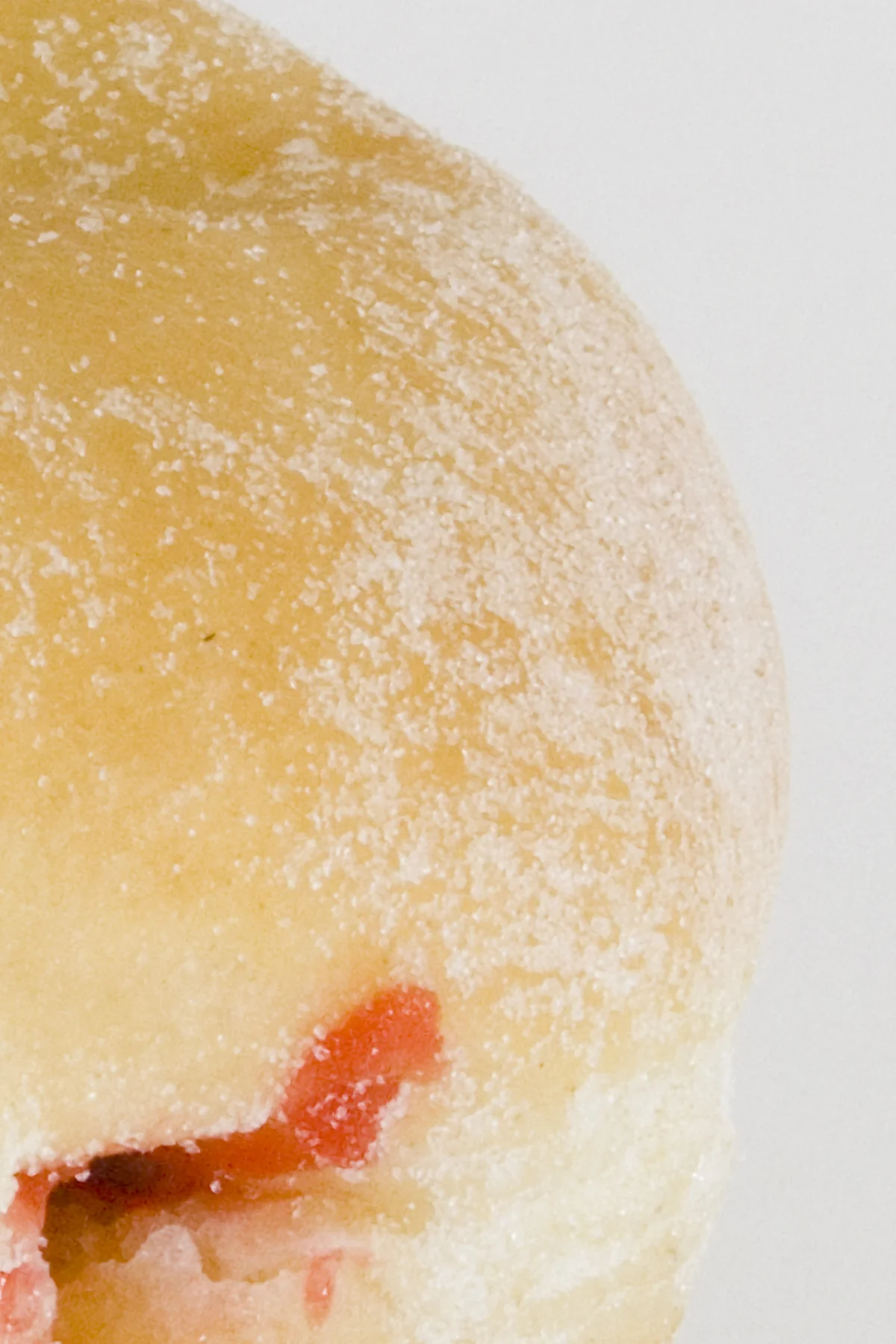 Jelly Donut (detail)