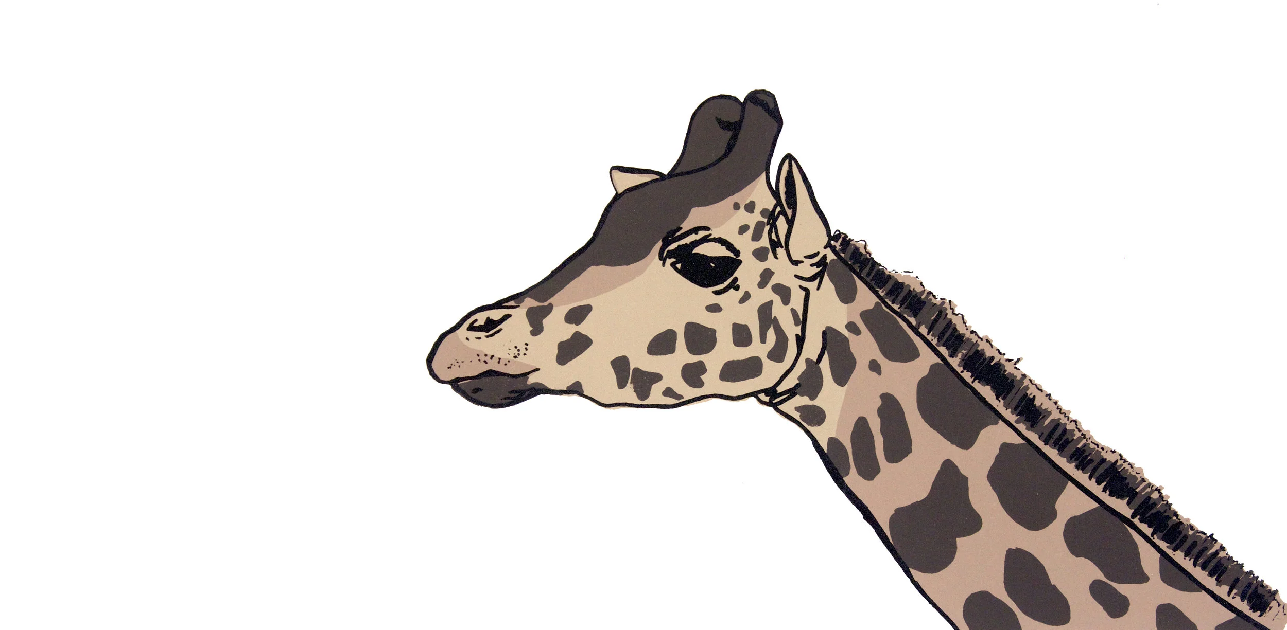 giraffe