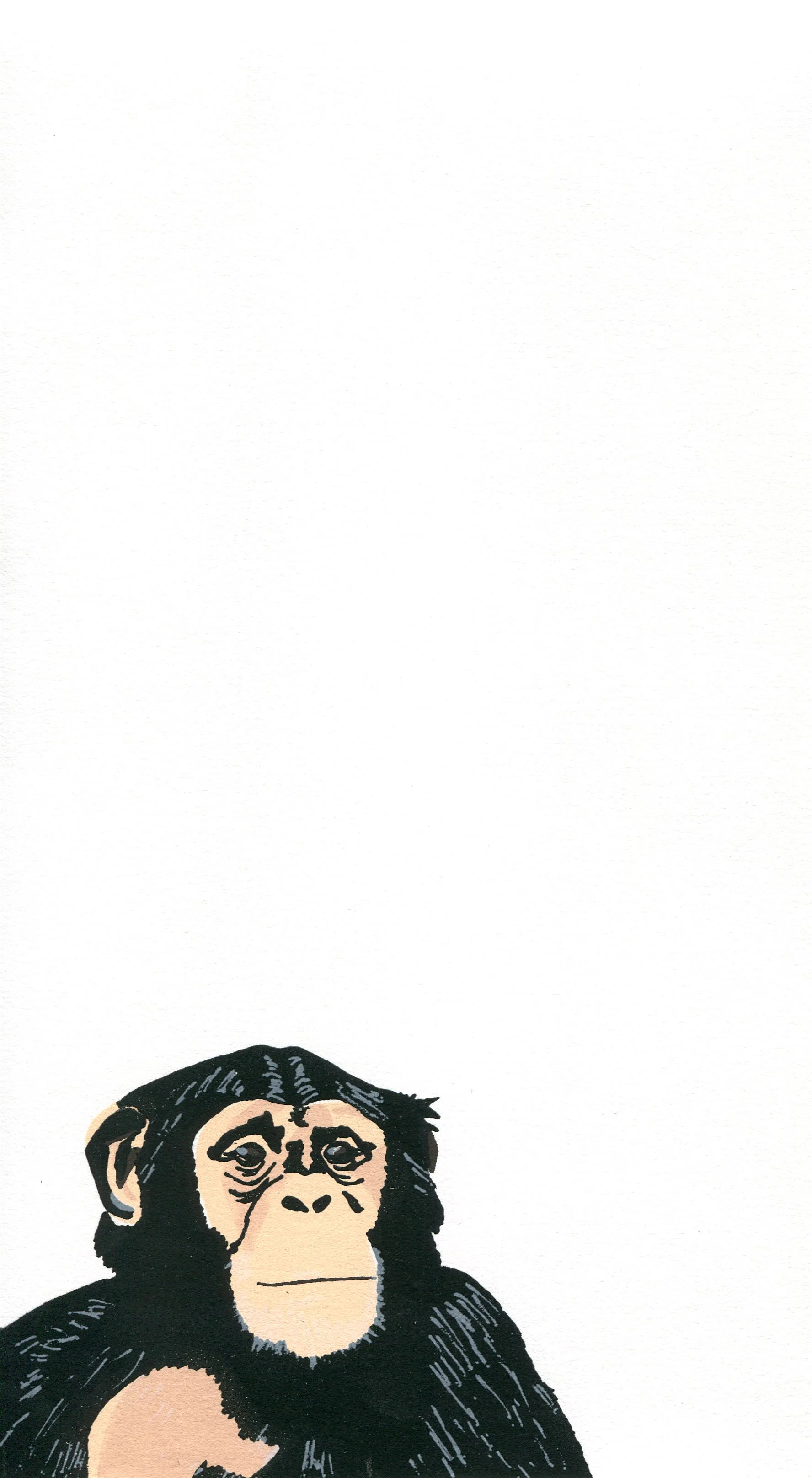 bonobo