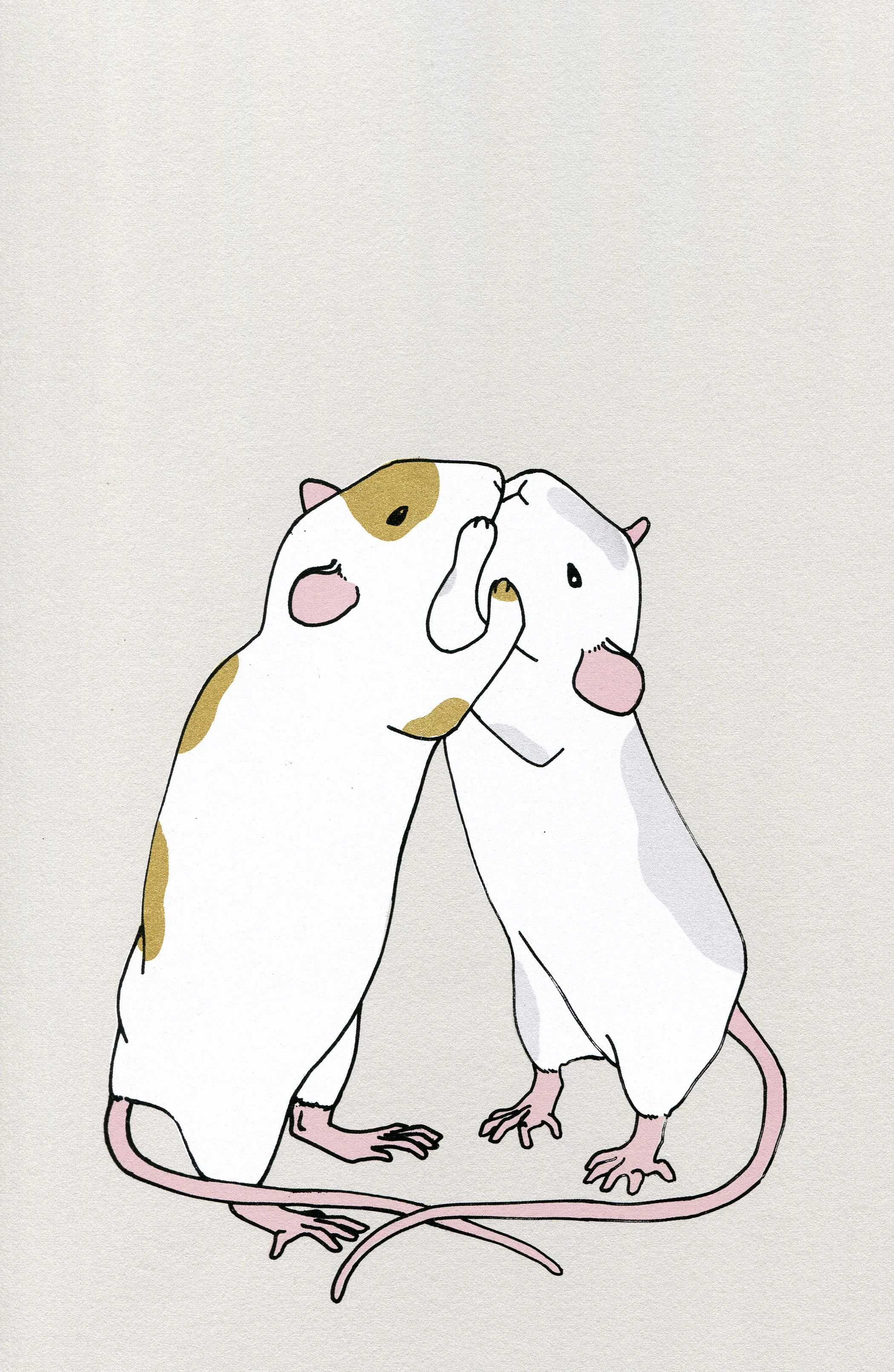 Two Rats