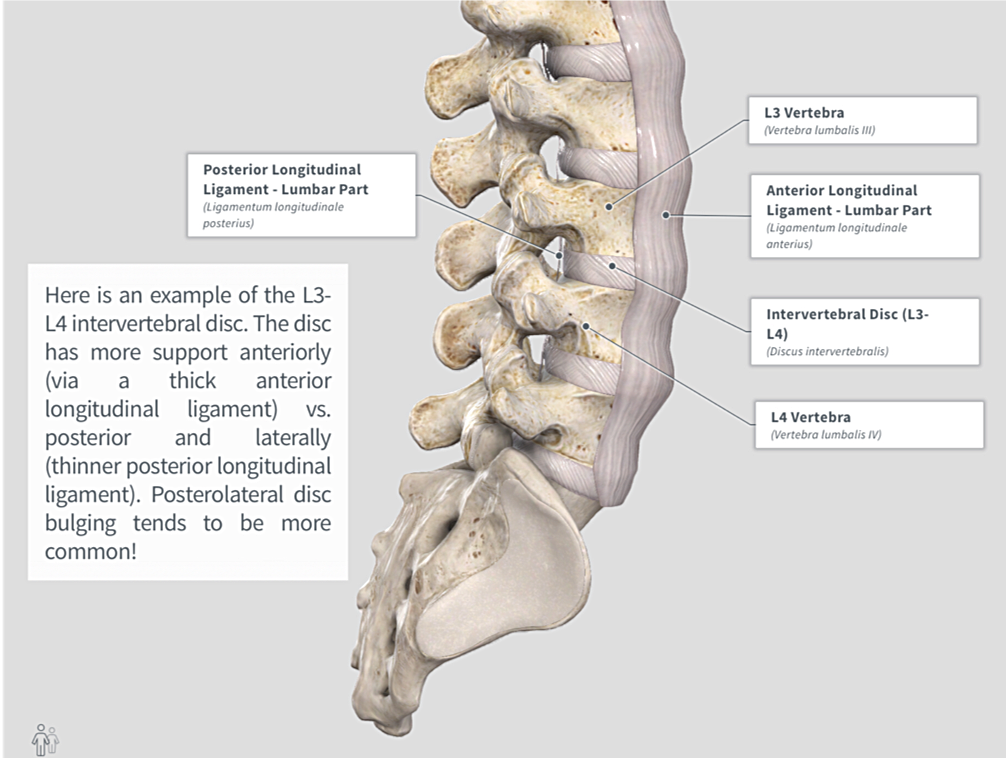 Discogenic Lower Back Pain | Clinical Pattern Recognition