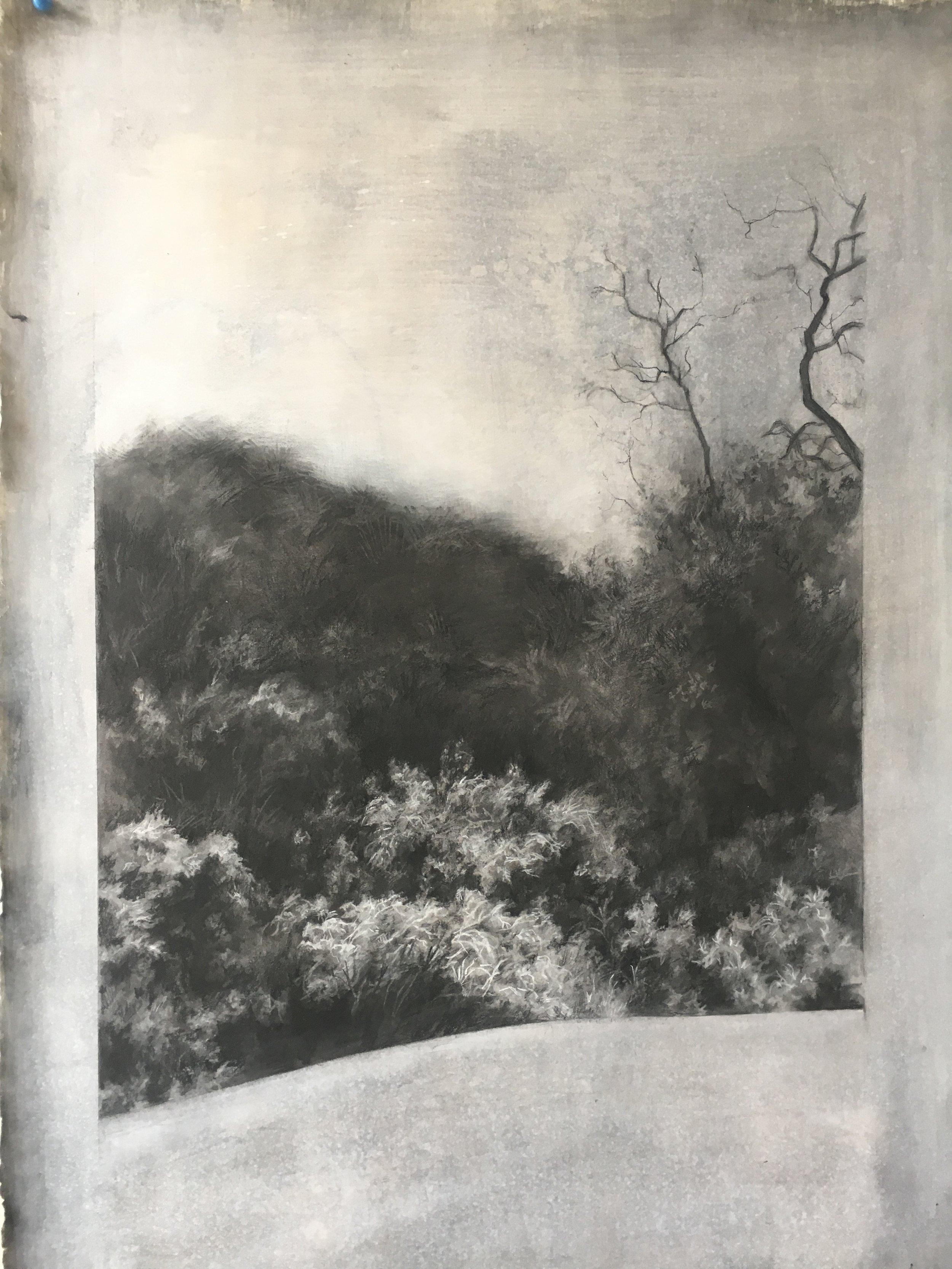  Canyon, 22" x 30," charcoal on toned paper 