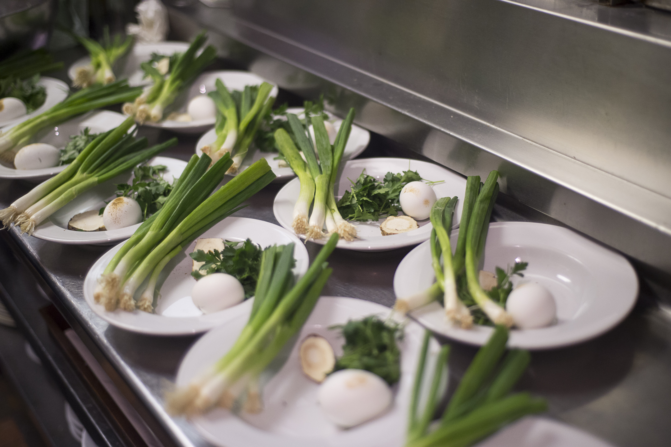Shalon Passover 3_30_18 WEB (35 of 248).jpg