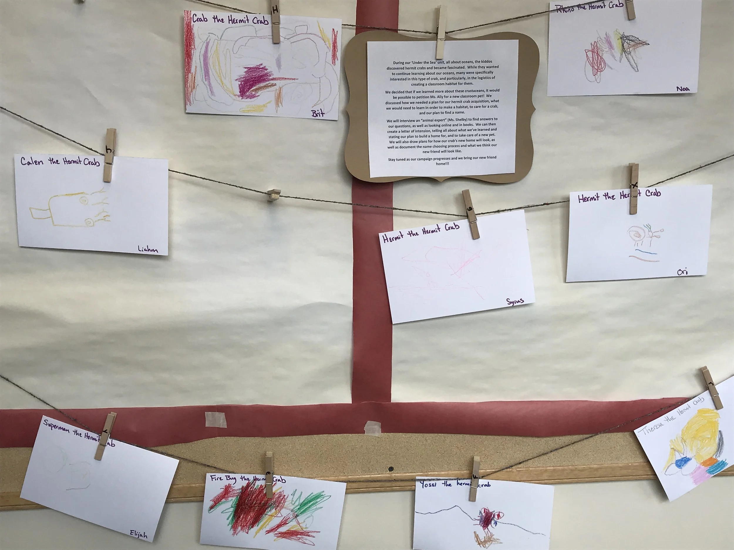 CB school project (crab).jpg