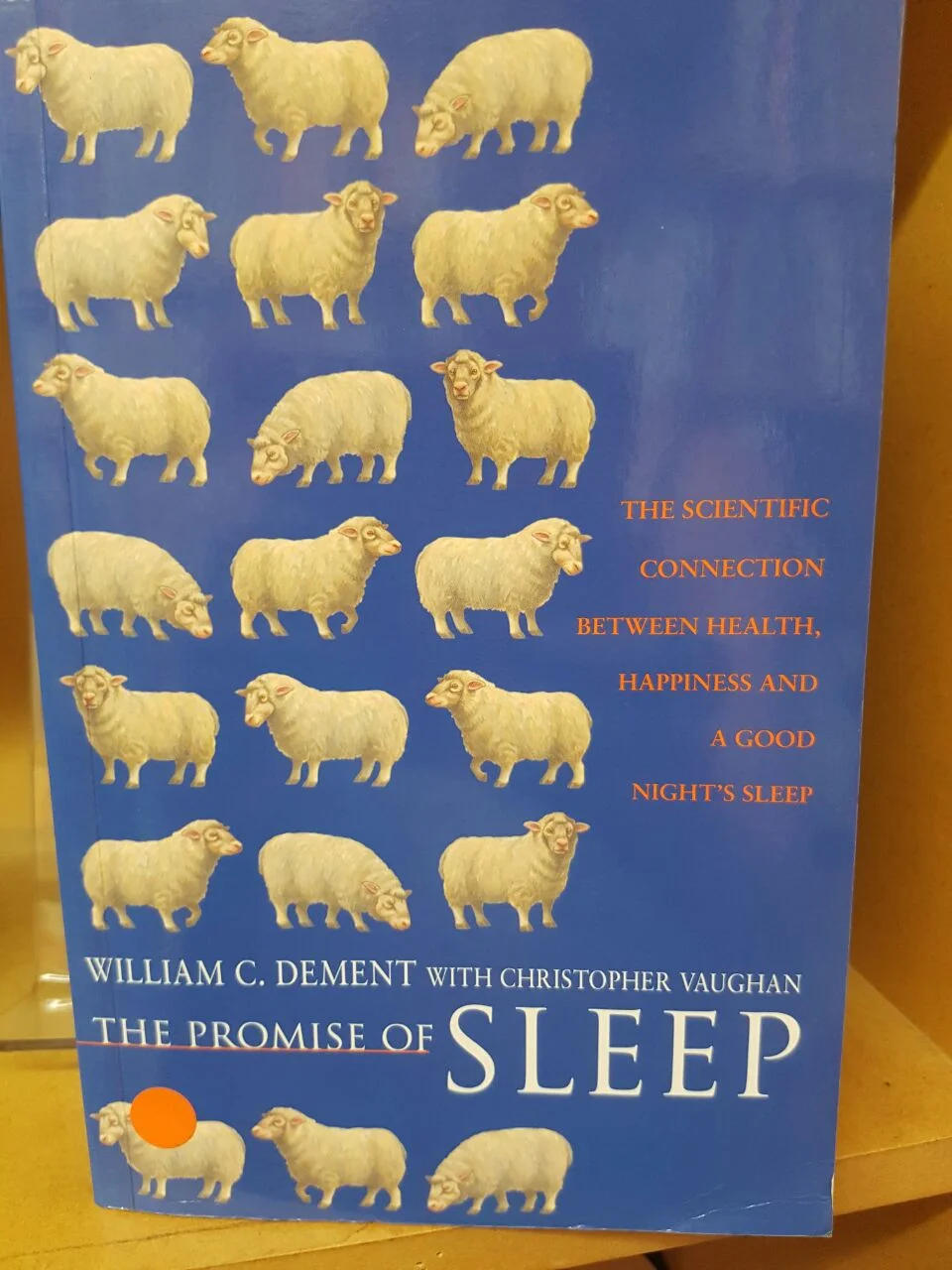 WhatsApp Image 2016-12-26 at 20.00.10.jpeg