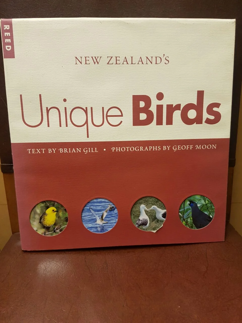 b1 WhatsApp Image 2016-12-26 at 19.59.41.jpeg