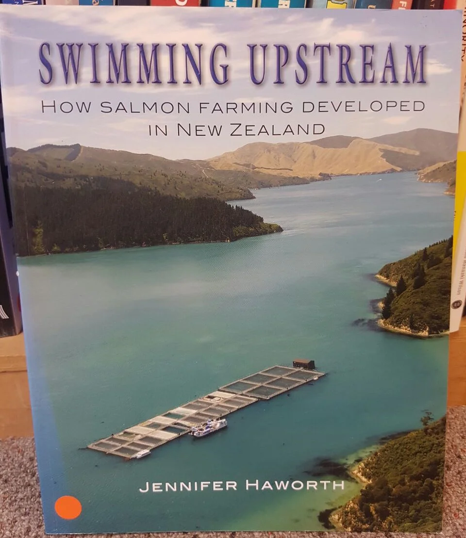 a2 WhatsApp Image 2016-12-26 at 20.09.34.jpeg