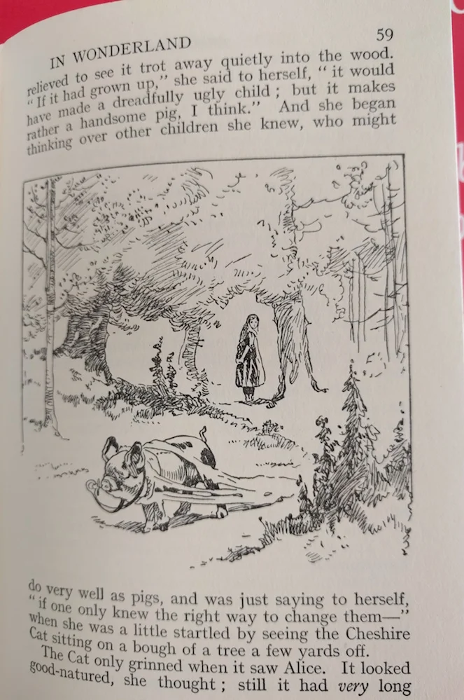 a2 2017-02-26 14.27.39.jpg