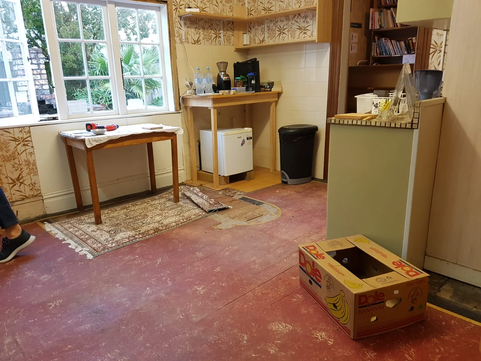 WhatsApp Image 2018-11-16 at 19.09.47.jpeg