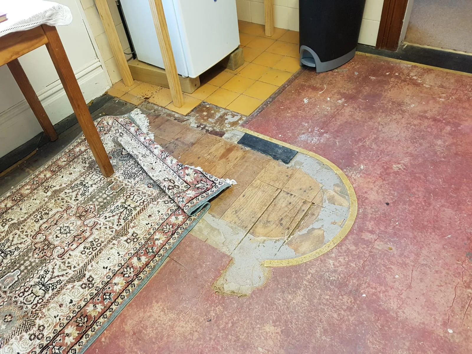 WhatsApp Image 2018-11-16 at 19.09.36.jpeg