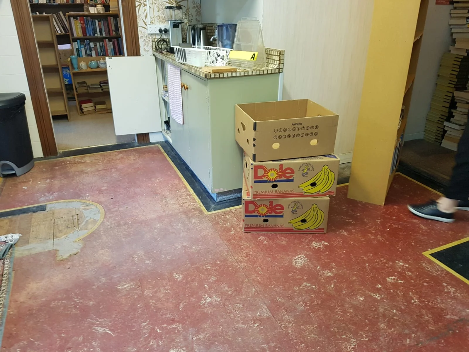 WhatsApp Image 2018-11-16 at 19.08.57.jpeg