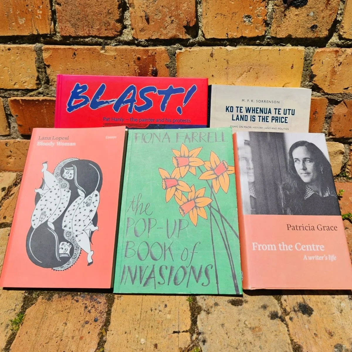 We have a proud history of using art as a means of resistance here in Aotearoa! The books pictured speak to this, as do many more we have in stock. There are so many artistic mediums and worthy causes. What speaks to you? If you need inspiration, pop