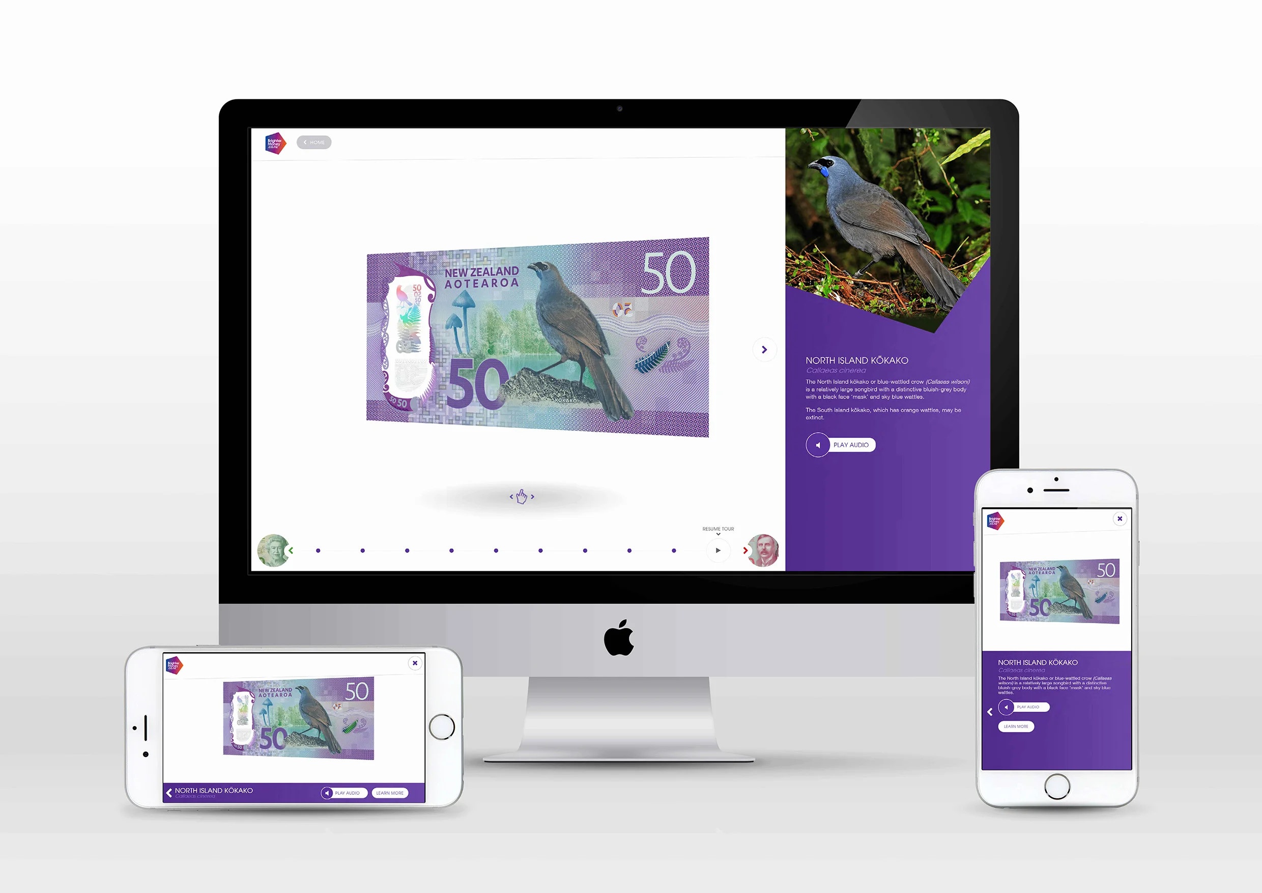 Brighter Money 2.jpg