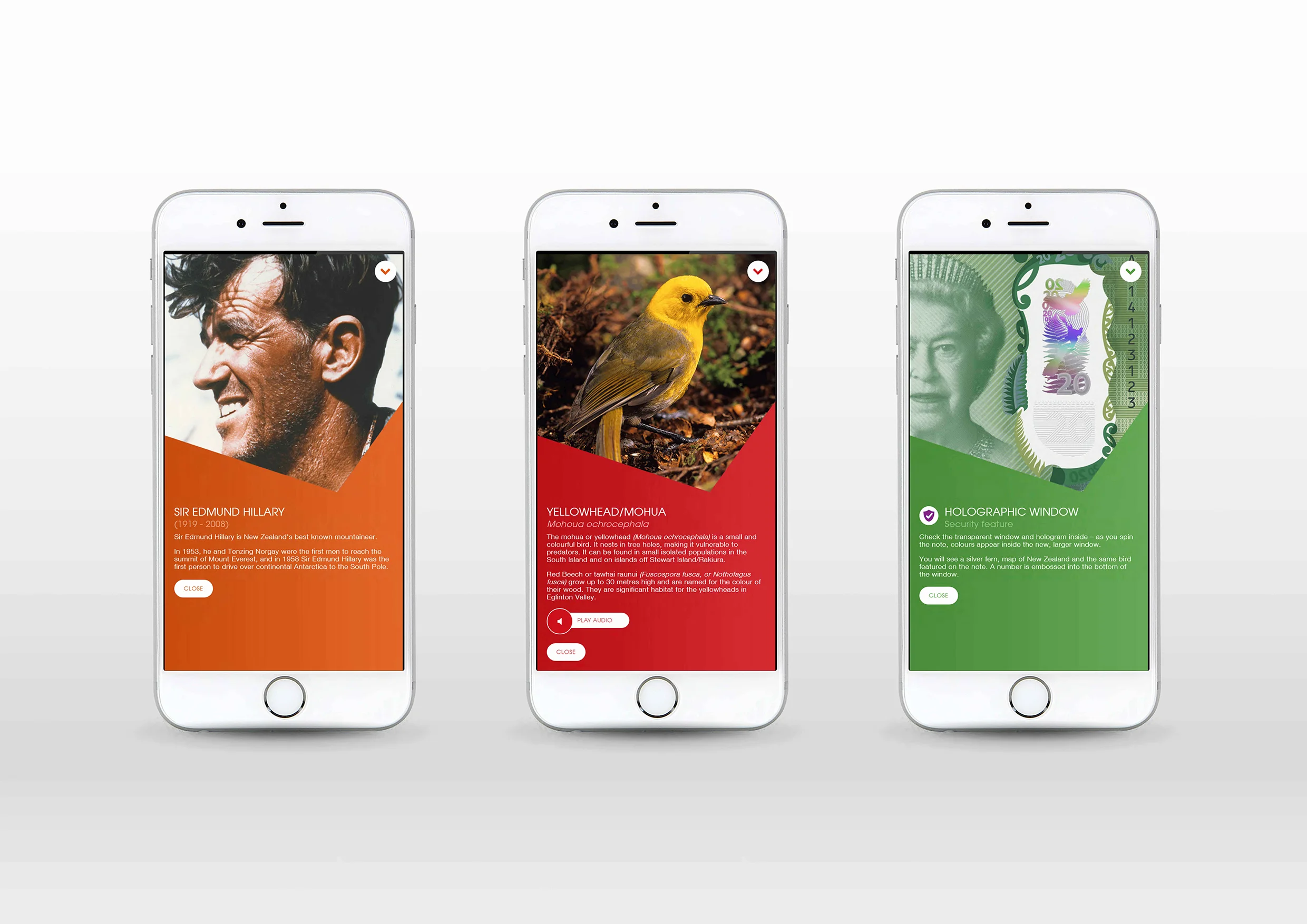 Brighter Money 4.jpg