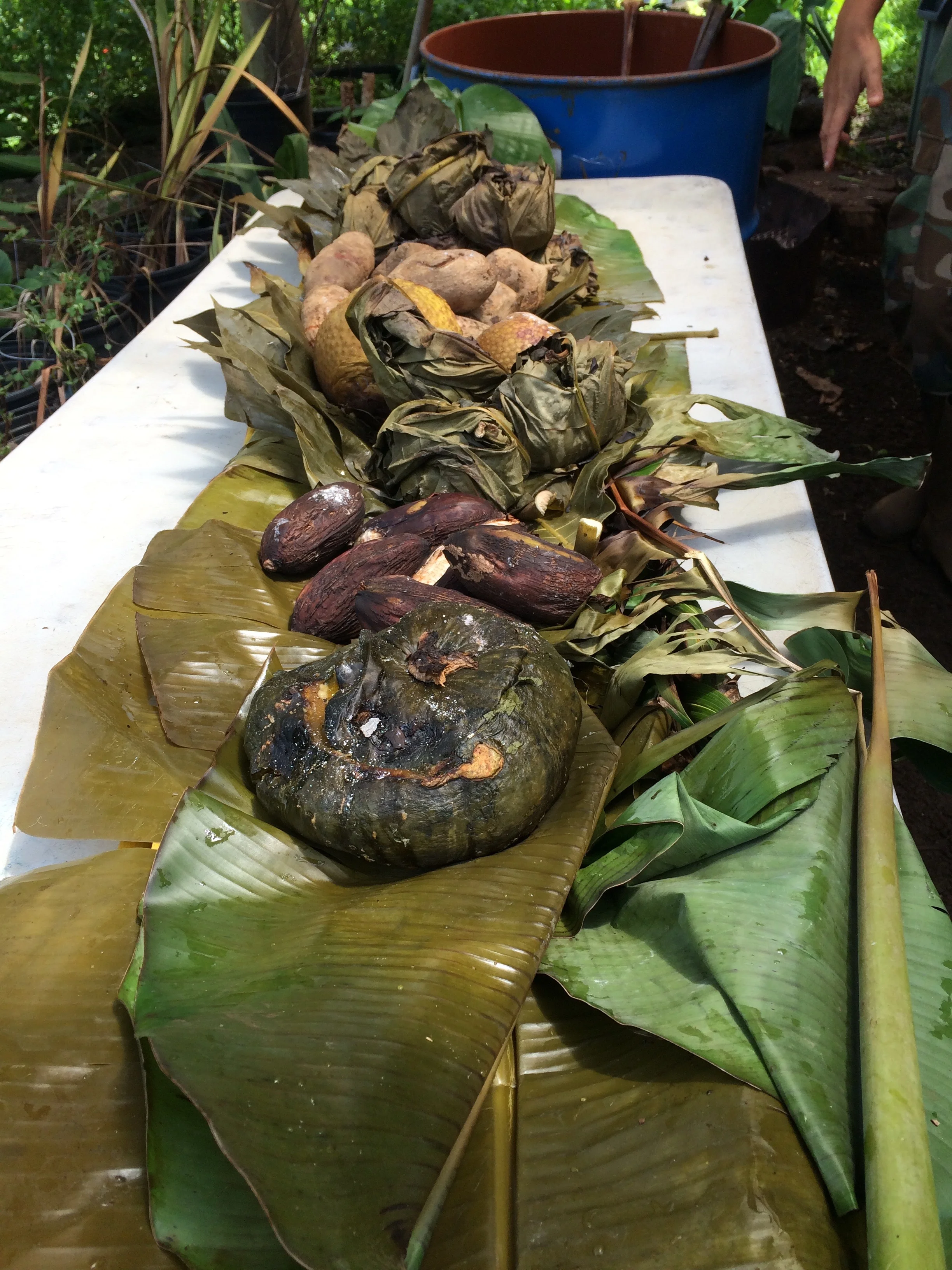 Roots Program Kalihi Valley