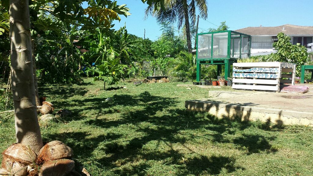 Community Garden Workday Roots KKV