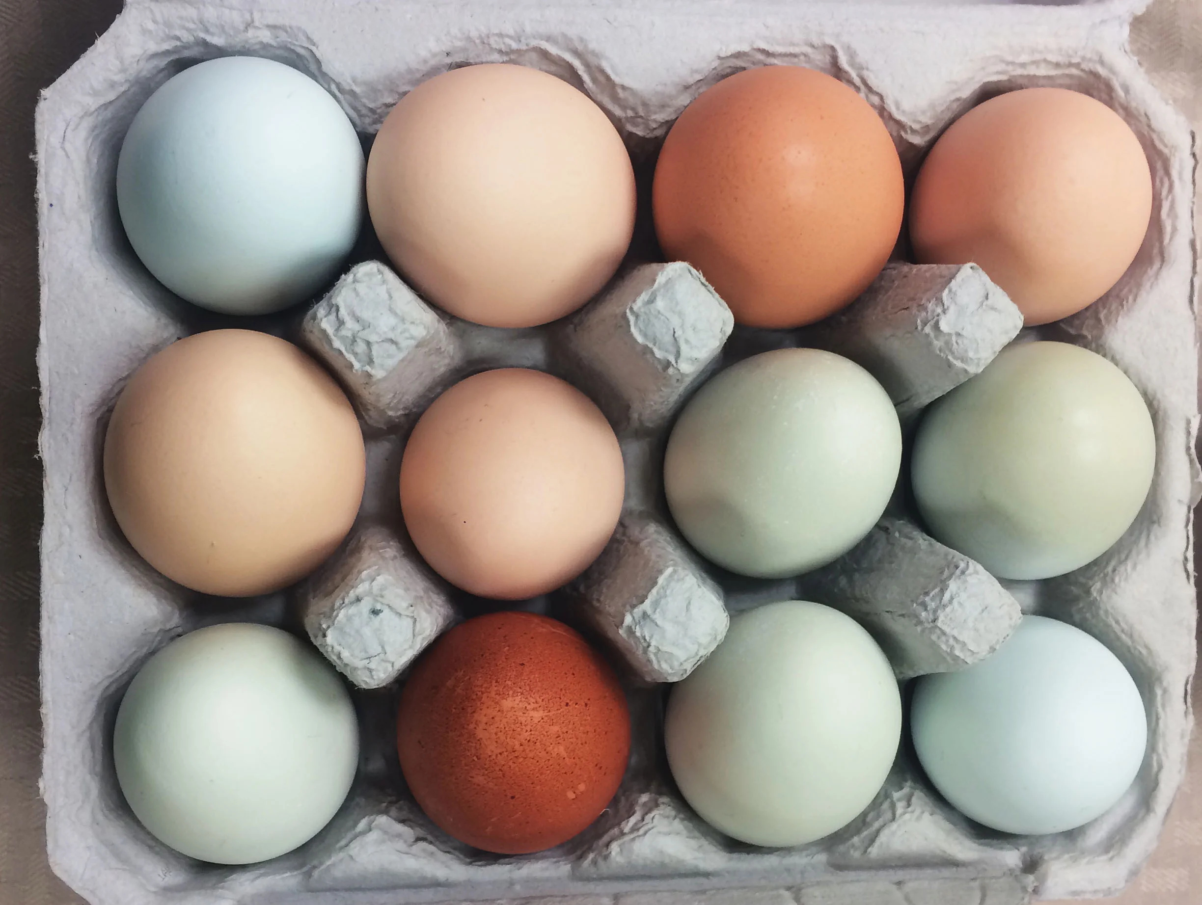 Roots Program Kalihi Valley