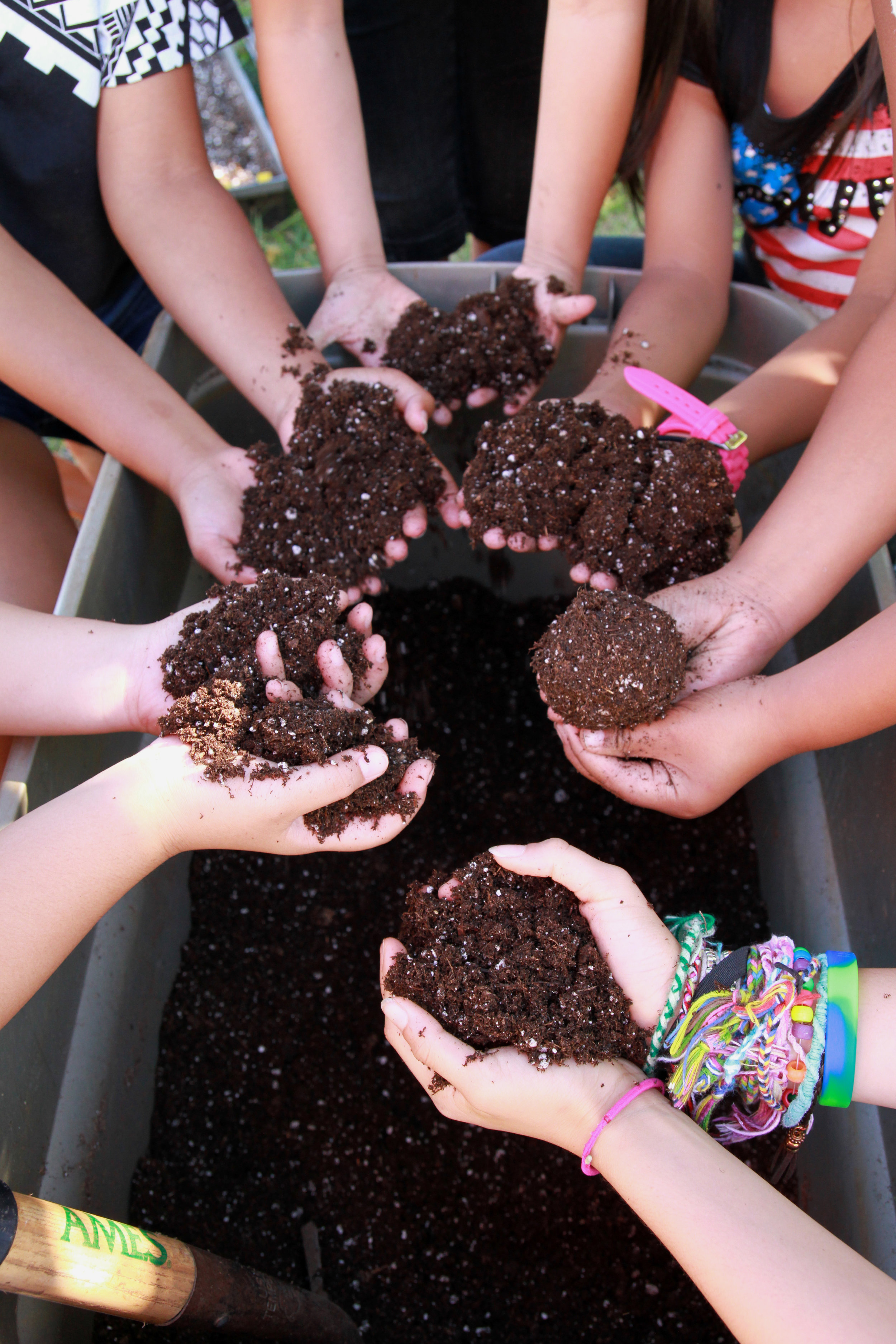 Community Garden Workday Local Schools Roots KKV