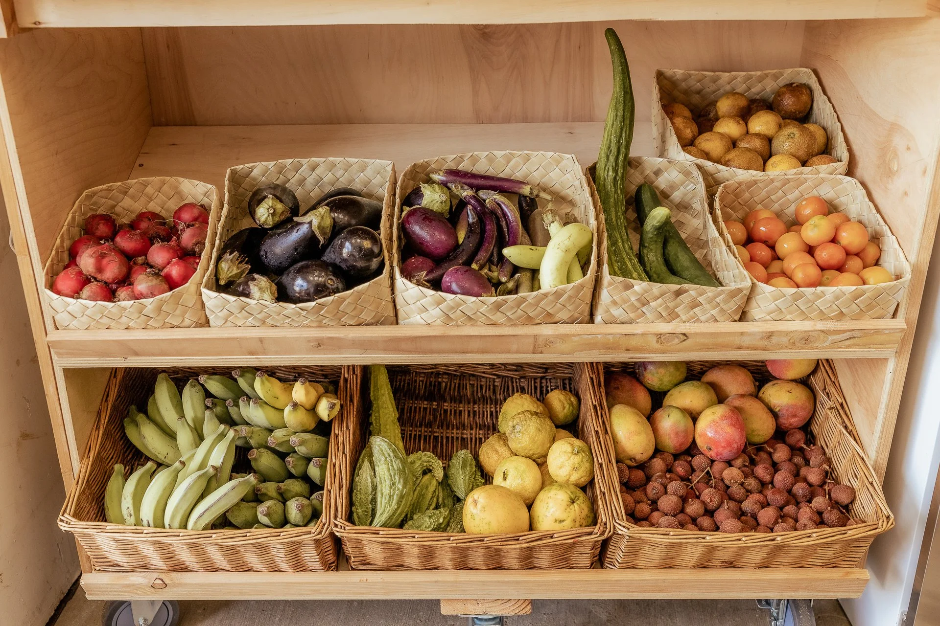 Double Your EBT &nbsp;