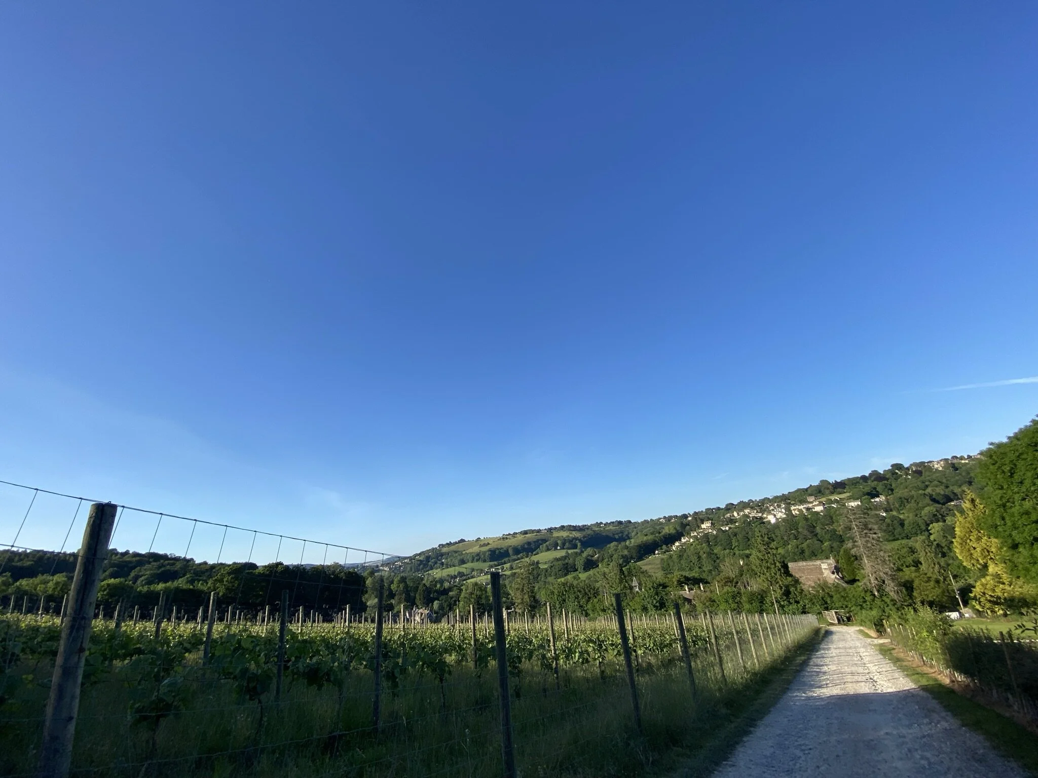 On tour: Woodchester Valley Vineyard