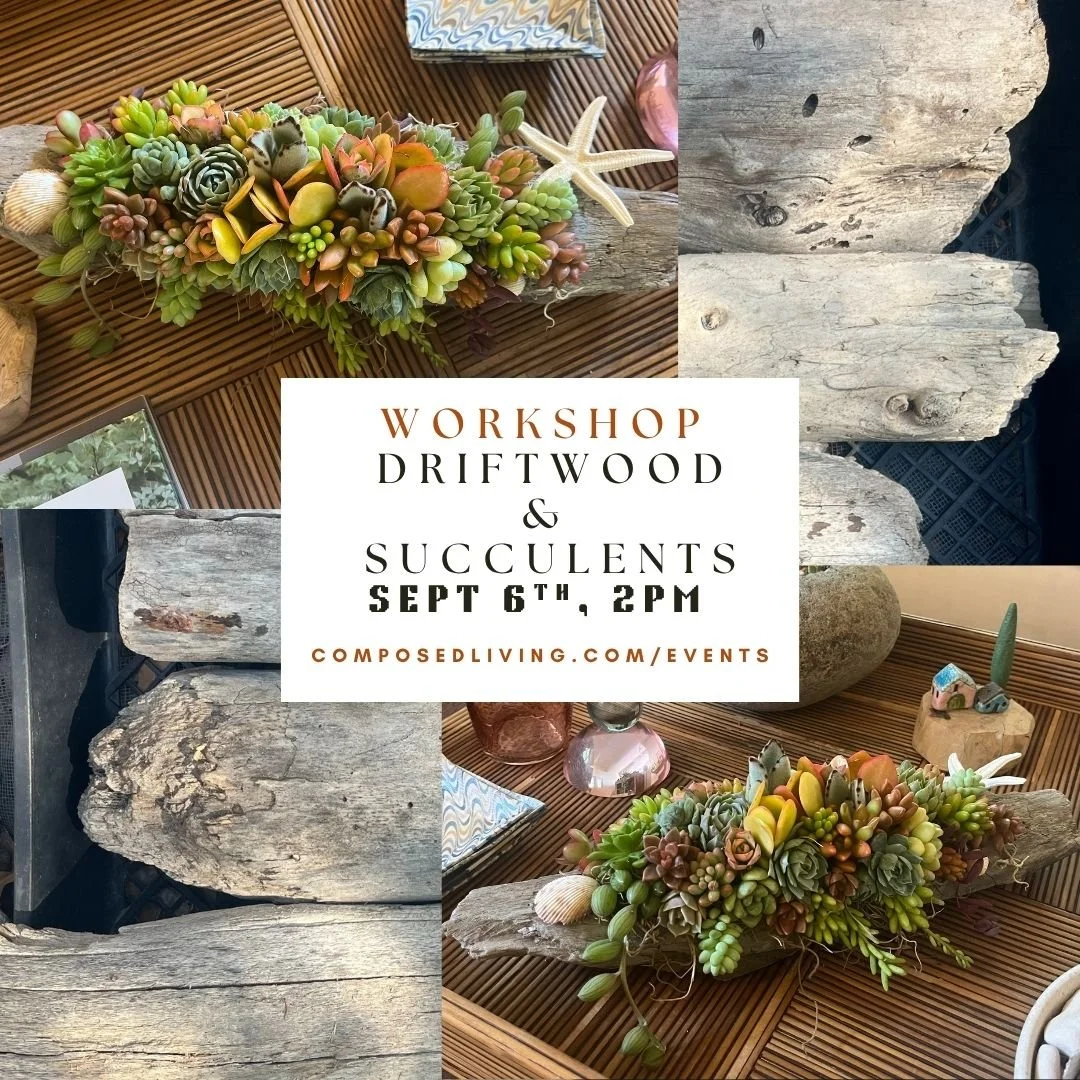 Driftwood& Succulents workshop.jpg