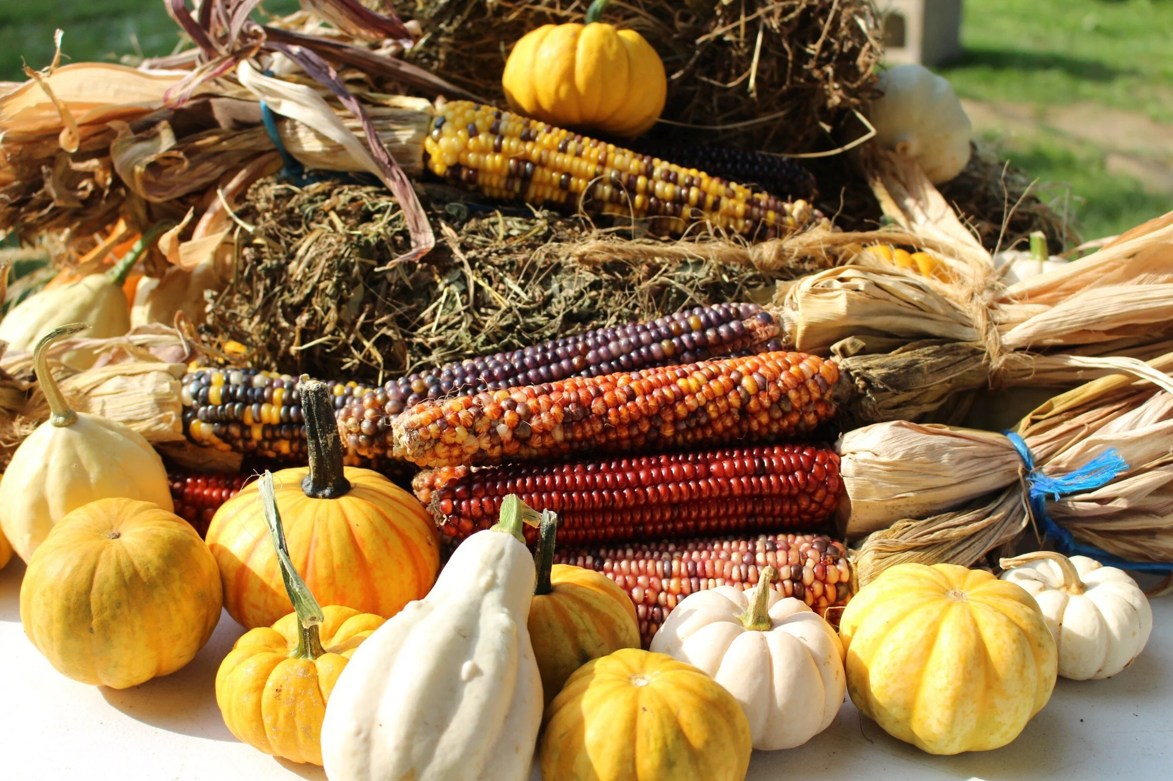 Embracing Fall — Composed Living