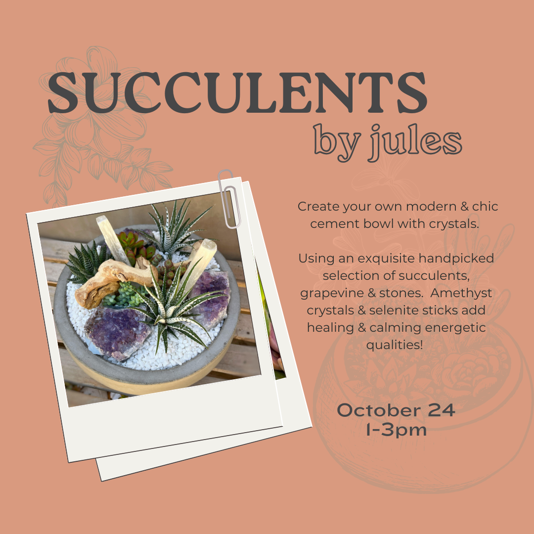 10/24: Succulents by Jules: Modern Crystal & Succulent Bowl