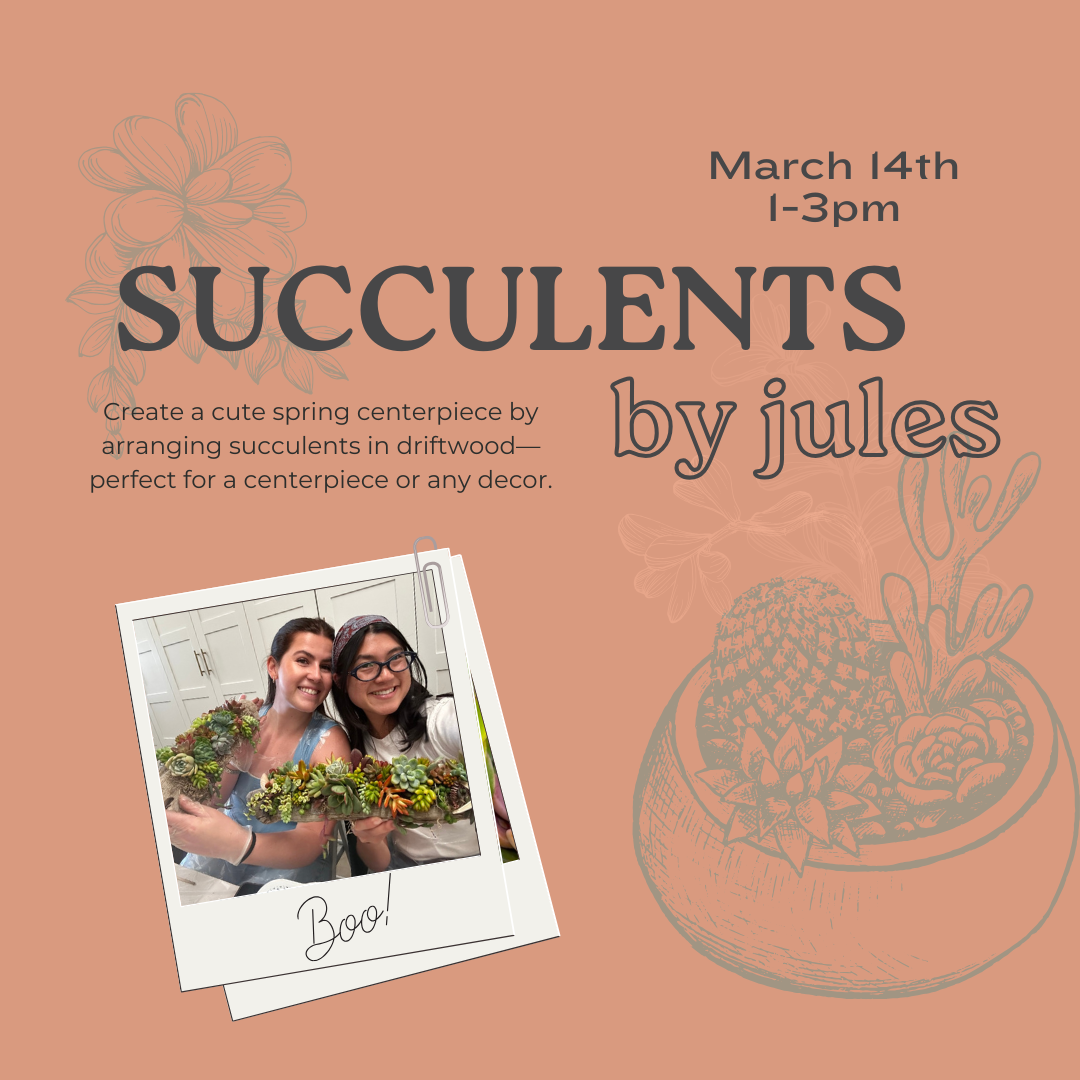 3/14: Succulents by Jules: Driftwood Arrangements
