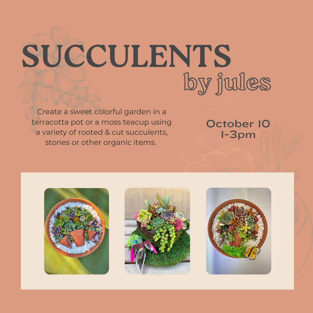 10/10: Succulents by Jules: Pots in a Pot or Moss Teacup