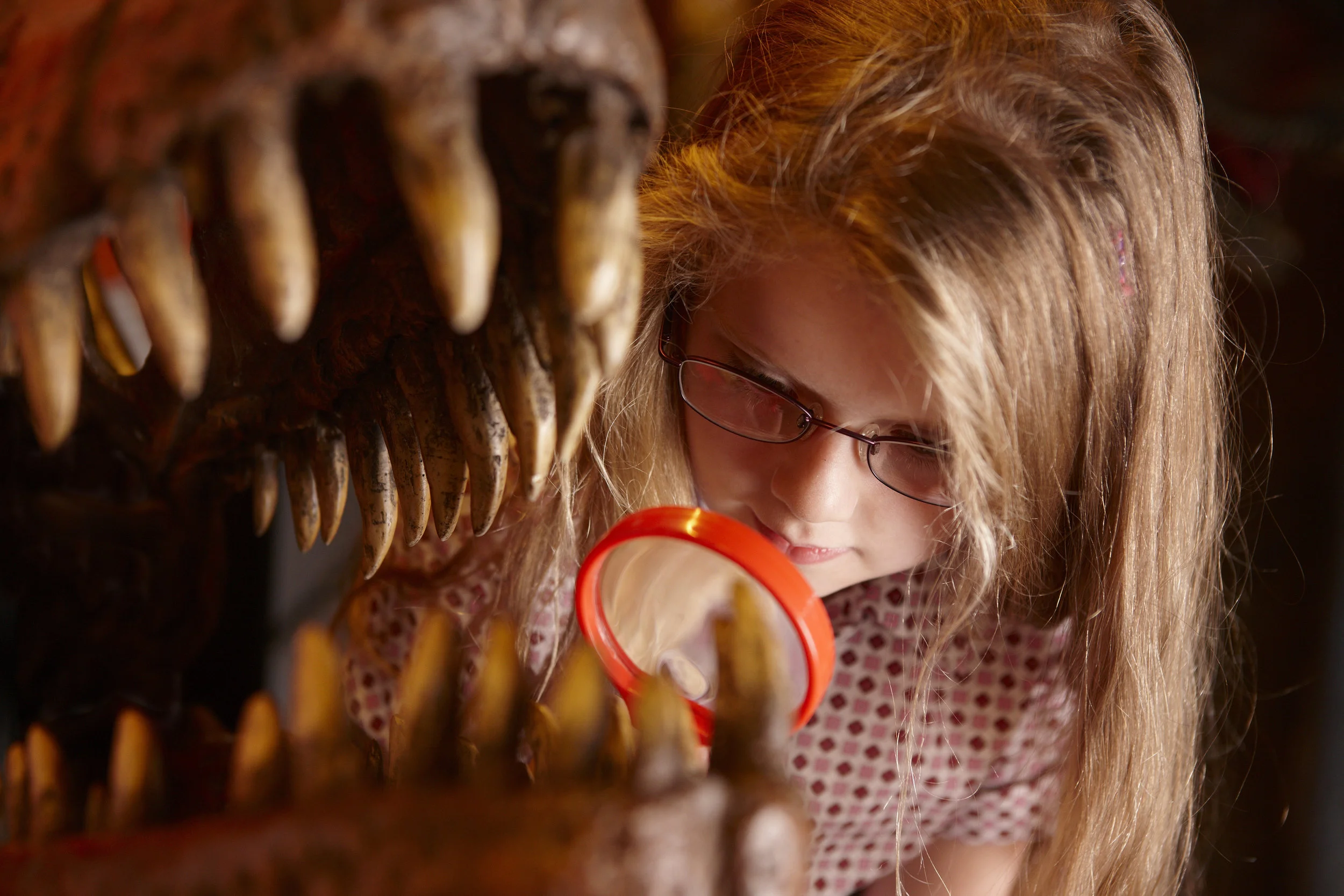©DINOSAUR-MUSEUM-SCHOOLS007.jpg