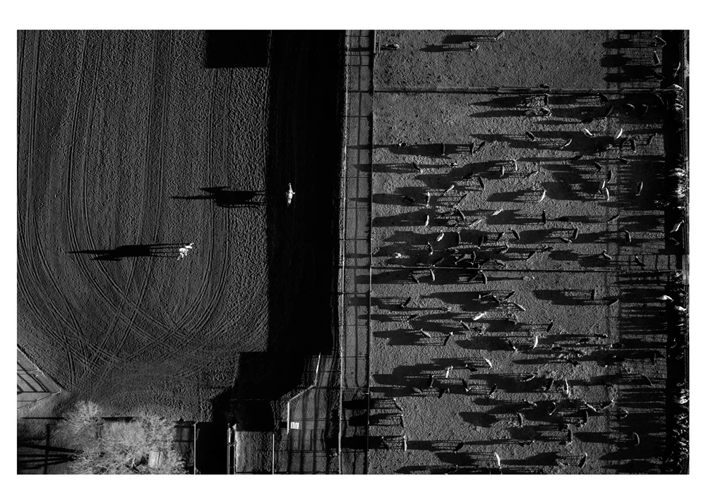 SCOTIABANK CONTACT PHOTOGRAPHY FESTIVAL: TOMAS VAN HOUTRYVE MAY 15TH-30TH 2016