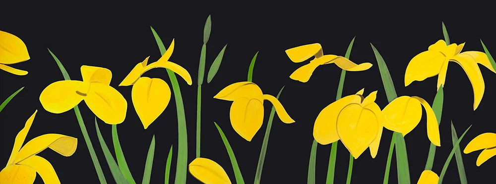 Alex Katz : Yellow Flags 2, 2018, archival pigment print, 16 9/10 x 44 9/10