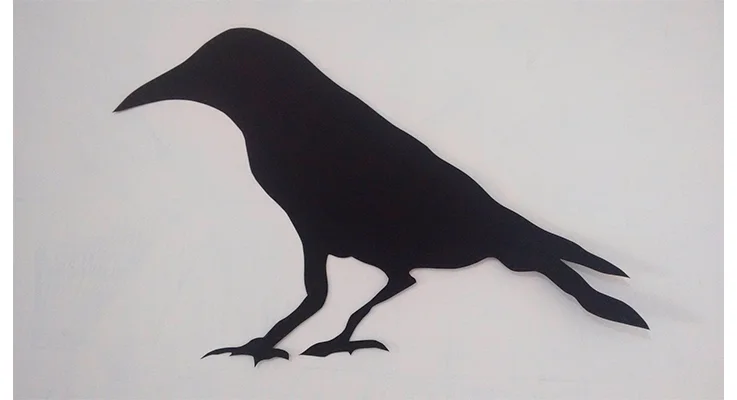 presença impontente desse corvo, que cria imagens tão amplas que transbordam o suporte, criando o deslocamento da imagem para um lugar desconhecido, inexistente, e que com pouco esforço pode ser percebido no contexto