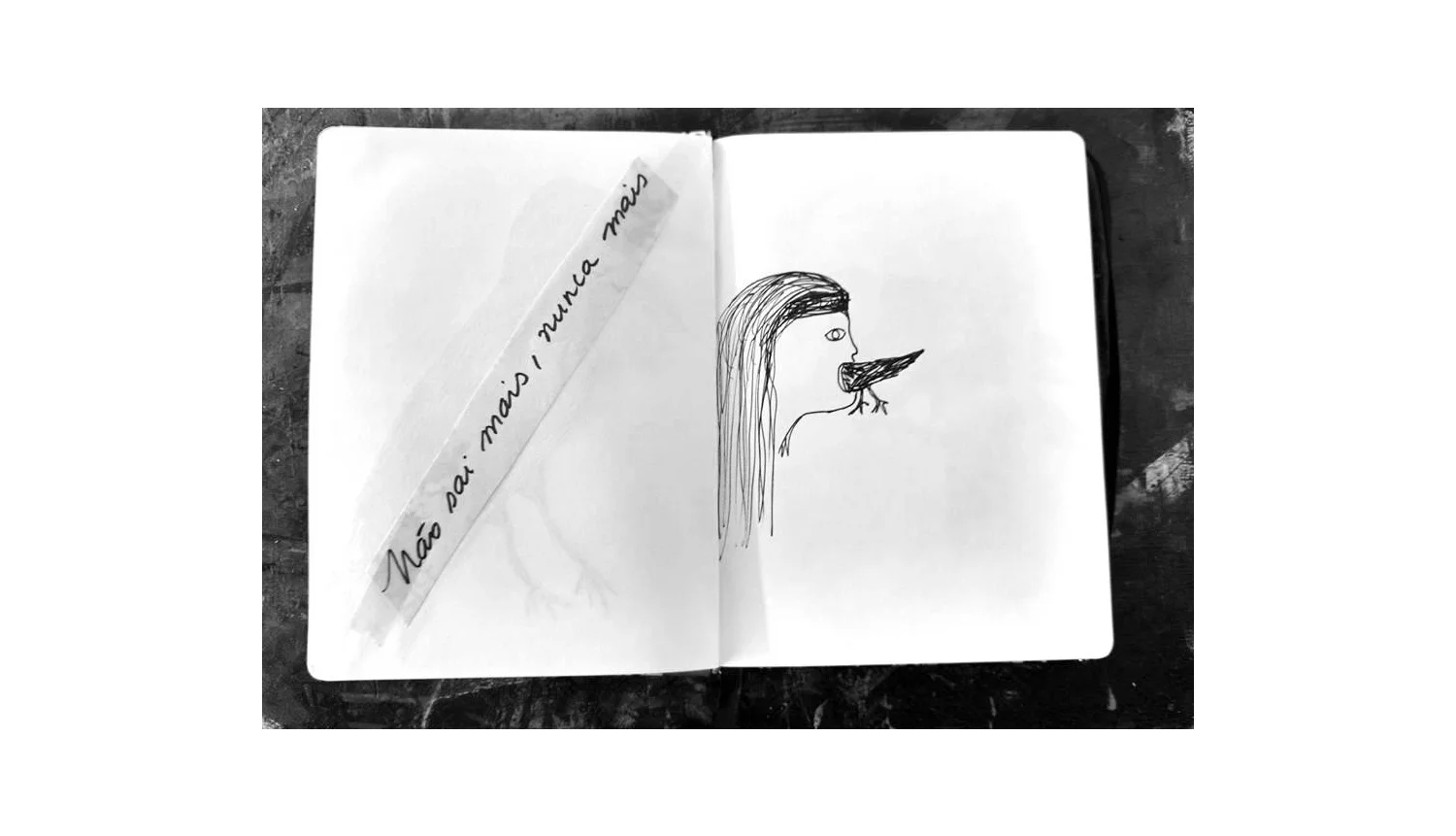 a palavra me interessa tanto quanto a imagem. é tudo desenho!