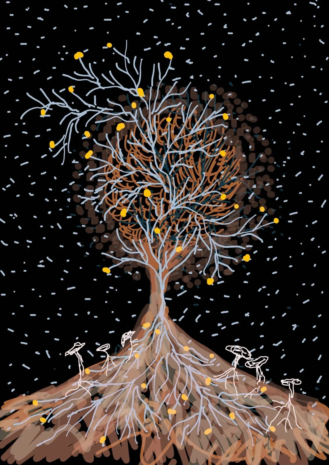 WhatsApp Image 2026-02-21 at 09.54.45.jpeg