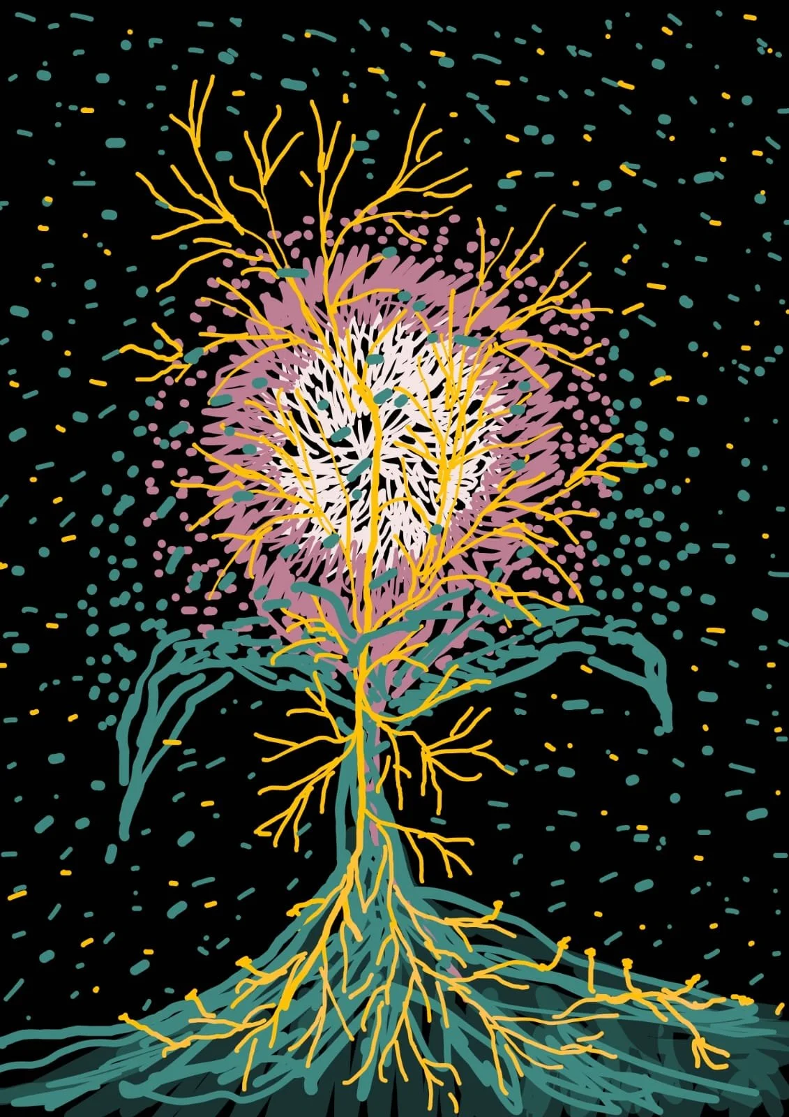 WhatsApp Image 2026-02-21 at 09.54.46 (1).jpeg