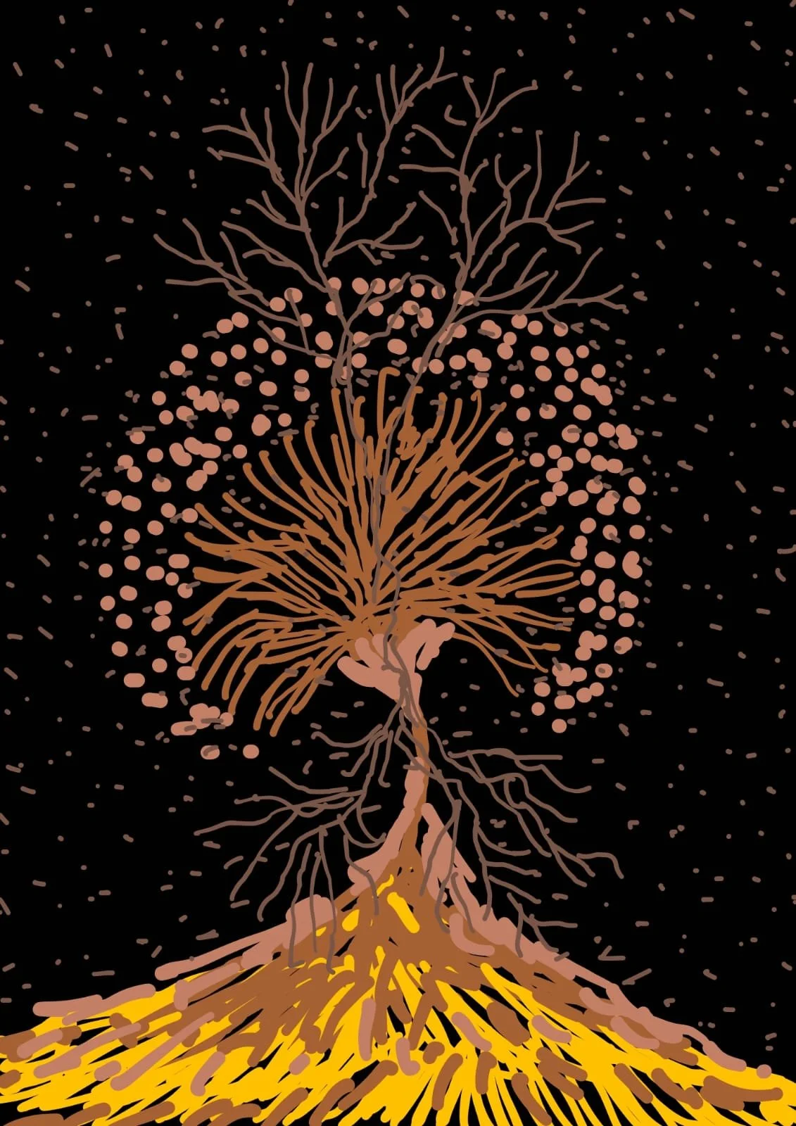 WhatsApp Image 2026-02-21 at 09.54.46.jpeg