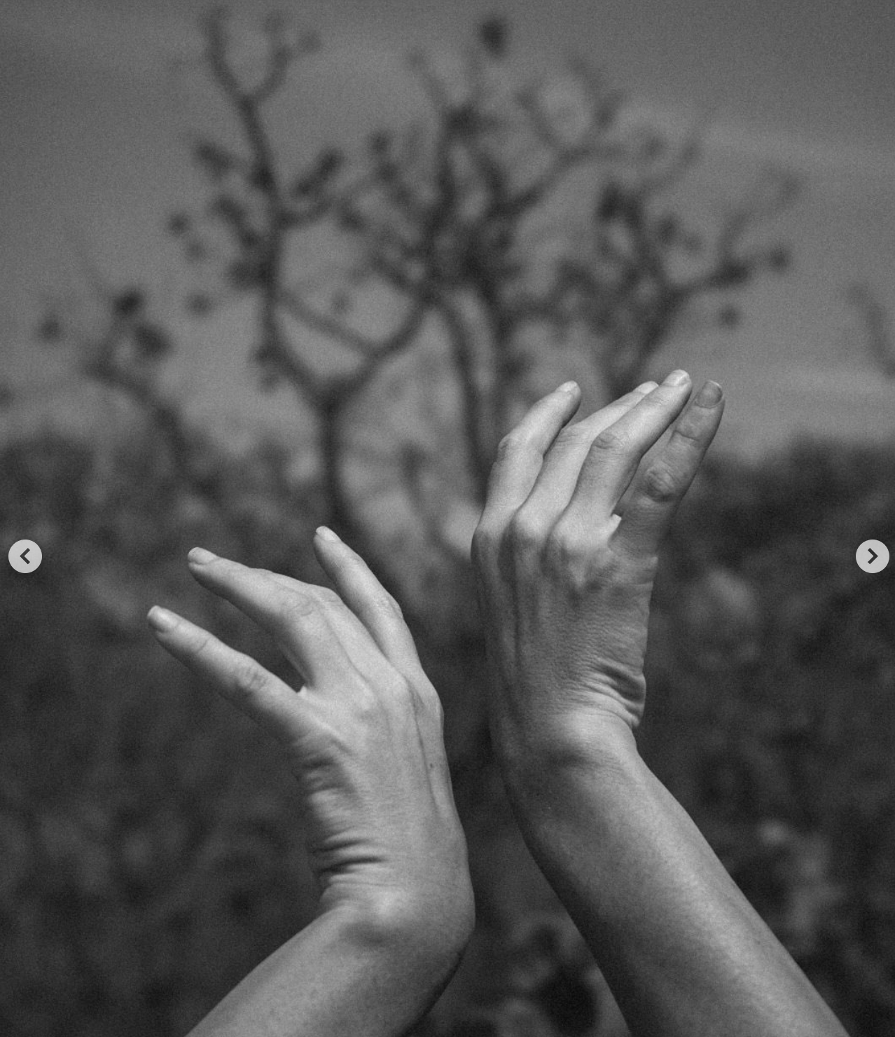 Captura de Tela 2026-04-11 às 08.55.46.png