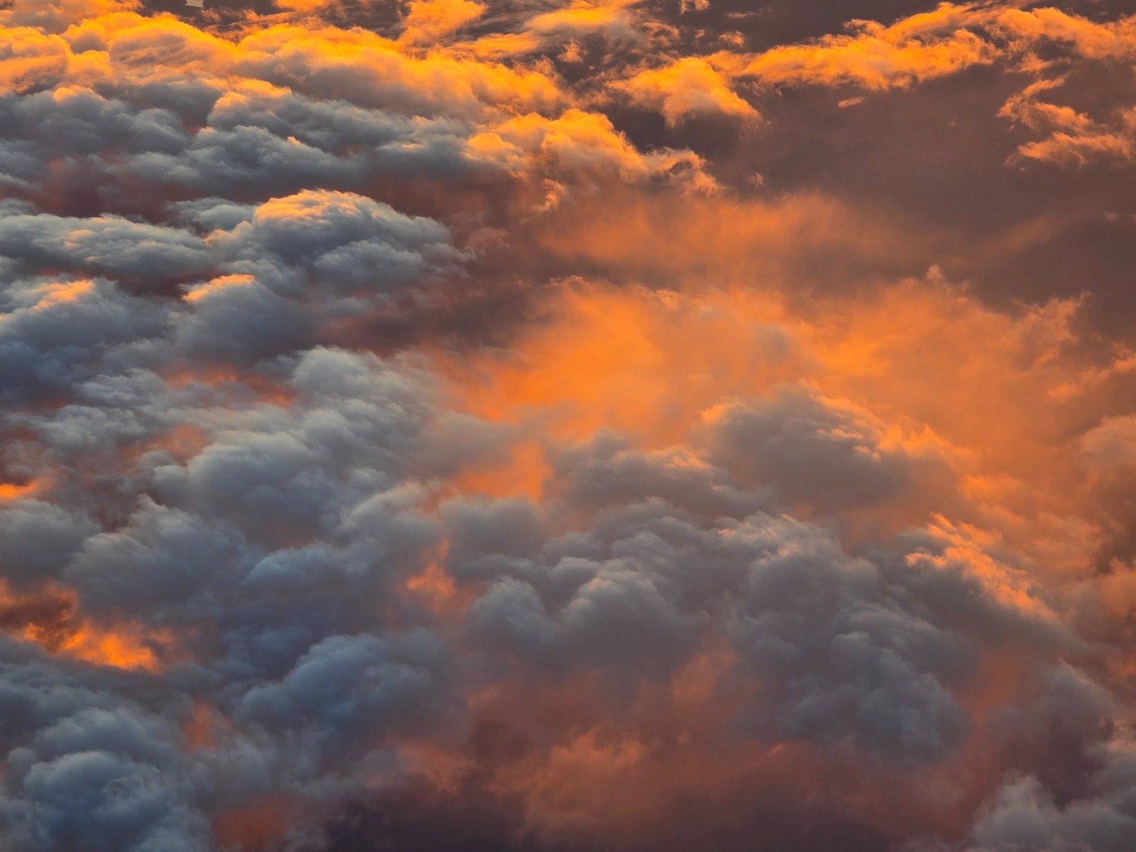 8c3faa42-1aba-4294-a94d-f8a10600bf9f.jpg