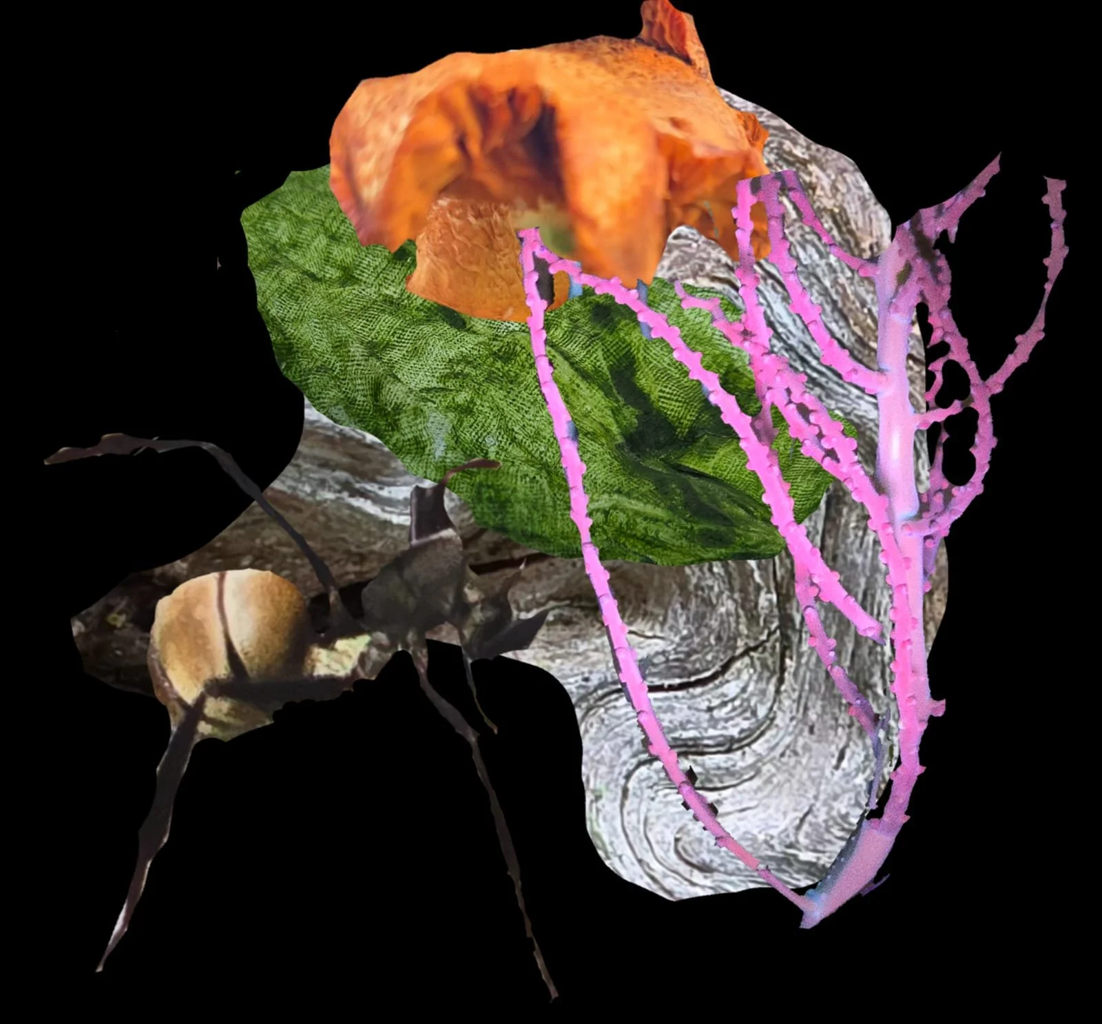 WhatsApp Image 2026-02-21 at 15.16.43 (3).jpeg