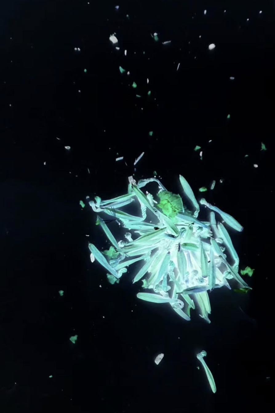 Captura de Tela 2026-08-31 às 16.14.18.png